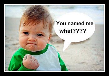 Tit,Tat,Tequila are among new baby names