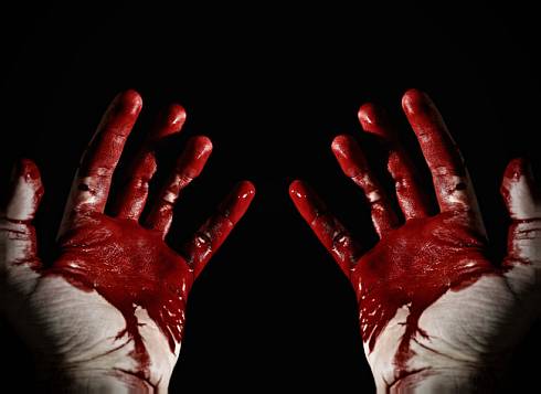 bloody hand , killing , mother kill sons
